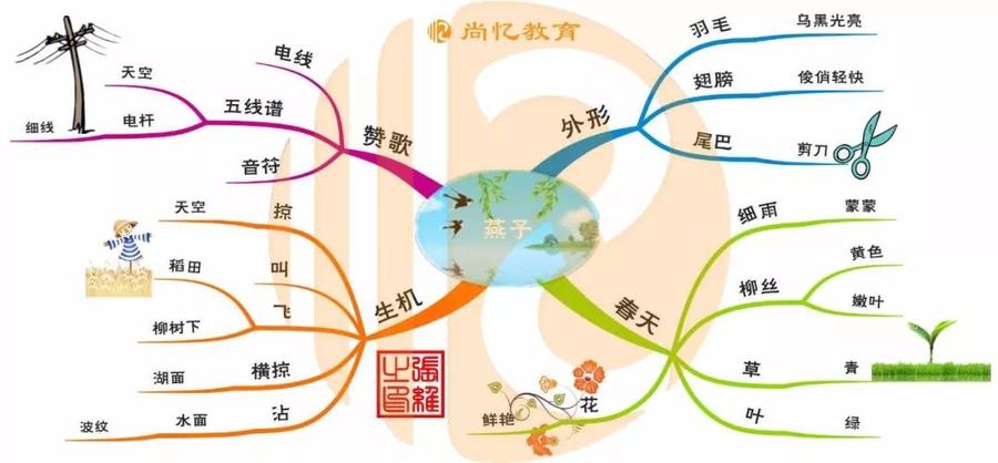 不会分析文章?试一下思维导图吧
