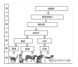 学习方法 背课文万能公式的综合应用之生物记忆 连载篇 尚忆教育